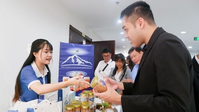 تای نین تلاش‌های ترویج تجارت را تا پایان سال تشدید می‌کند.