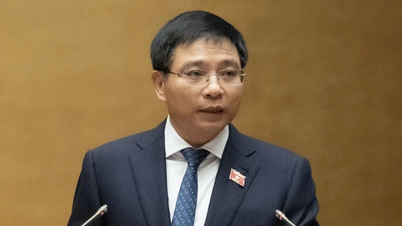 Национальное собрание утвердило 38 секторов и профессий, освобожденных от необходимости получения бизнес-лицензий.