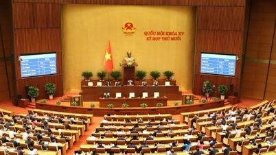 A propriedade intelectual é valorizada e reconhecida como garantia.