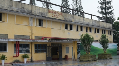 گردشگران برای تماشای اجرای زنده در کارخانه چای قدیمی مربوط به سال ۱۹۲۷ هجوم می‌آورند.