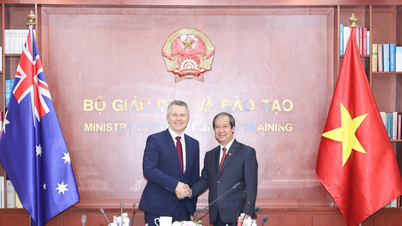 Содействие развитию образовательного сотрудничества между Вьетнамом и Австралией на новом этапе.