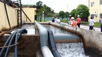 Quang Ninh: Menerapkan ilmu pengetahuan dan teknologi untuk mengembangkan ekonomi hijau dan berkelanjutan.