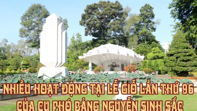 [Infografika] Számos esemény zajlott Nguyễn Sinh Sac, alelnök halálának 96. évfordulóján.