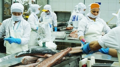 گسترش فرصت‌های صادراتی از طریق CPTPP