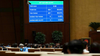 Az 500 millió VND vagy annál kevesebb éves bevétellel rendelkező háztartási vállalkozások nem tartoznak a hozzáadottérték-adó hatálya alá.