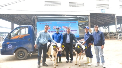 Công ty Cổ phần Hồ Toản trao tặng bò sữa giống cho Trung tâm giống gia súc lớn Trung ương