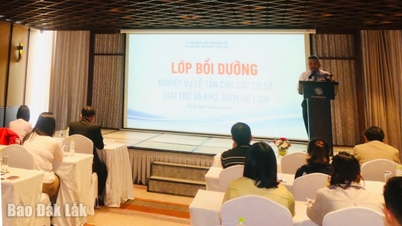 Обучение навыкам работы на ресепшене в гостиничных комплексах и туристических местах.