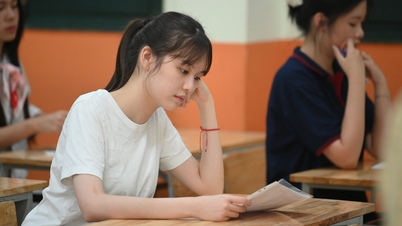 Supprimer la combinaison C00 : des experts proposent des ajustements pour garantir les droits des candidats.