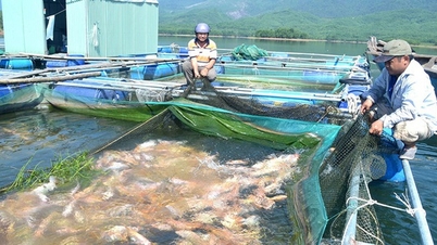 Tillämpning av bioelektrokemisk teknik för att kontrollera Vibrio-bakterier i bräckvattendammar.