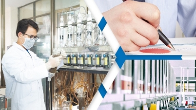 Új szabályozások a tudományos és technológiai kapacitás bővítésére irányuló támogatás elbírálására vonatkozó kritériumokról.