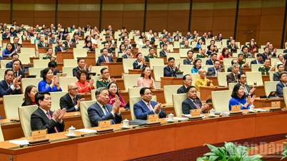 ২০২১-২০২৬ মেয়াদে অনেক ব্যাপক এবং অসামান্য সাফল্য অর্জিত হয়েছে।