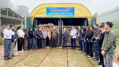 太陽エネルギーを利用した籐材料の乾燥技術の移転。