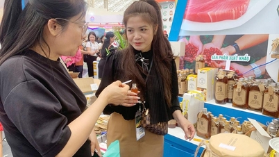 کوآپریٹیو اور کاروباری اداروں کے درمیان روابط کو مضبوطی سے فروغ دیں۔