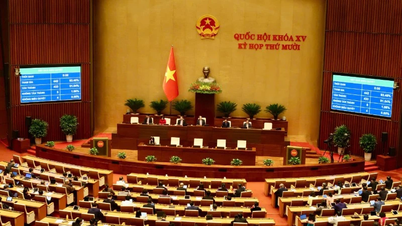 Verbetering van het institutionele kader voor het nationale digitale transformatieproces.