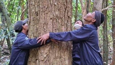 La proporción de pagos por reducción de emisiones de gases de efecto invernadero alcanzó casi el 94%.