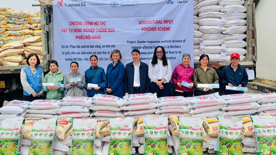 قام وفد من السفارة الكندية ومنظمة الأغذية والزراعة (الفاو) بالعمل في بلديتي ين بينه وتران ين.