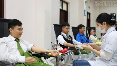 شارك أكثر من 600 شخص في يوم التبرع الطوعي بالدم لعام 2025.