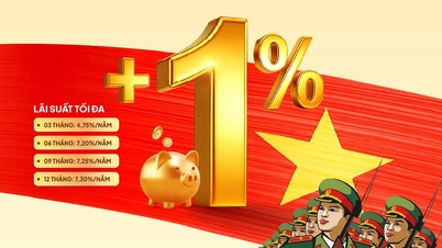 Speciale aanbieding ter gelegenheid van 22 december: Als blijk van waardering voor het leger - Superieure rentetarieven.