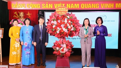 حصلت أكاديمية المرأة الفيتنامية على قرار اعتماد الجودة للمؤسسات التعليمية في الدورة الثانية.