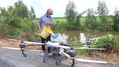 कृषि में डिजिटल परिवर्तन - उत्पत्ति की पारदर्शिता, बाजार संपर्क।