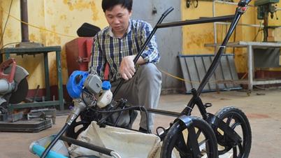 Полуавтоматические овощеуборочные комбайны: разработанное в лаборатории решение, помогающее фермерам «добиться успеха».