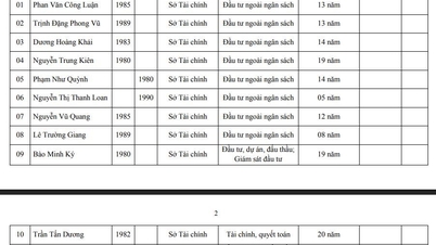 De lijst met 13 gerechtelijke deskundigen die zijn aangesteld voor specifieke zaken in de financiële sector is bekendgemaakt.