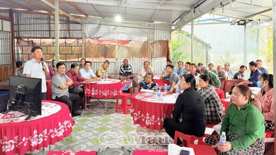 Kiváló minőségű, alacsony kibocsátású rizstermelési hatékonyság rizs- és garnélarák-tenyésztő területeken.