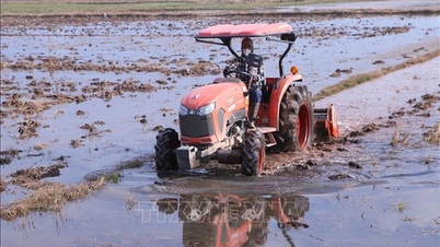 Jadwal pelepasan air untuk musim tanam Musim Dingin-Musim Semi di wilayah Midlands Utara dan Delta.