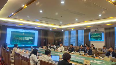 पेट्रोवियतनाम वियतनाम में टिकाऊ विमानन ईंधन के उत्पादन पर शोध कर रहा है।