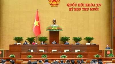 ستدخل عدة تغييرات هامة على سياسة الأراضي حيز التنفيذ اعتباراً من 1 يناير 2026.