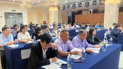 دونغ ثاب: نشر المعايير الوطنية لدوريان المجمد.