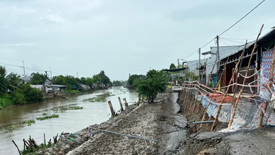 شهدت مقاطعة آن جيانغ 106 انهيارات أرضية، مما تسبب في أضرار بقيمة 12 مليار دونغ فيتنامي.