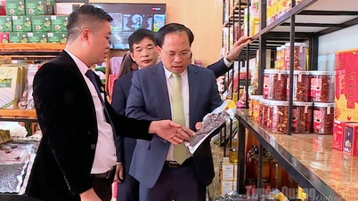 نا ہینگ - ریجنل اسپیشلٹی بوتھ پر OCOP پروڈکٹ شو روم اور سیلز پوائنٹ کا افتتاح۔