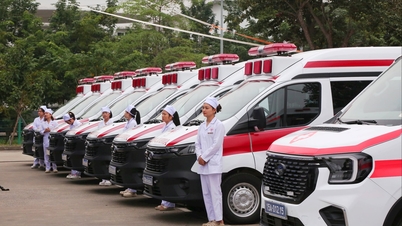Το Υπουργείο Υγείας της πόλης Χάι Φονγκ έλαβε δωρεά 15 ασθενοφόρων και εξοπλισμού αξίας άνω των 26 δισεκατομμυρίων VND.