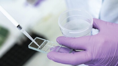 أوروبا مصدومة من قضية ما يقرب من 200 طفل ولدوا من حيوانات منوية تحمل جينًا مسببًا للسرطان.