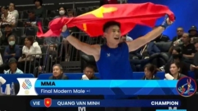 ویتنام کے تاریخی گولڈ میڈل کو مجموعی میڈل سٹینڈنگ میں کیوں شمار نہیں کیا گیا؟