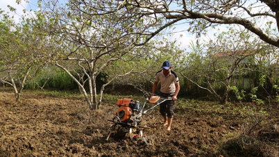 লাও কাইয়ের কৃষকরা শ্রম ও উৎপাদন অনুকরণ প্রচারণায় সক্রিয়ভাবে অংশগ্রহণ করে।