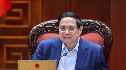 Cronograma previsto para o estabelecimento de zonas de livre comércio em Da Nang, Hai Phong e Cidade de Ho Chi Minh.