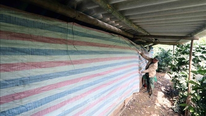 Provinsi dan kota secara proaktif menanggapi hujan lebat, cuaca dingin ekstrem, dan embun beku.