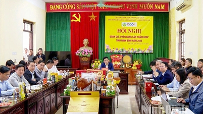 Συνέδριο Αξιολόγησης και Ταξινόμησης Προϊόντων OCOP της επαρχίας Ninh Binh 2025