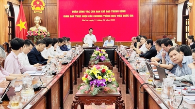 O Comitê Popular Provincial trabalhou com a Equipe de Inspeção e Monitoramento sobre os resultados da implementação dos programas nacionais de metas.