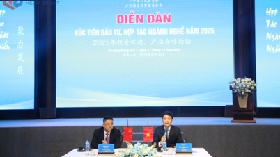 Forum for Investment Promotion and Industry Cooperation