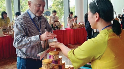 Thanh Thủy accelerates its transition from industrial to traditional craft village.