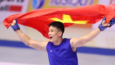 Quang Van Minh wins historic MMA gold medal at SEA Games 33
