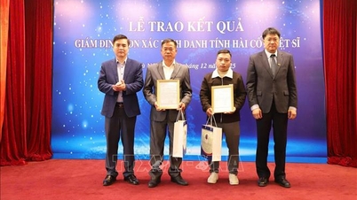 Präsentation der Ergebnisse der Identifizierung gefallener Soldaten mithilfe von DNA-Testtechnologie.