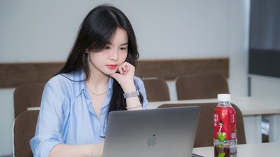 Many universities have announced their projected admission plans for 2026; which ones will still consider academic transcripts?