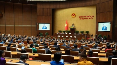 文化、人間、社会の発展は多くの面で前向きな成果と進歩をもたらしました。