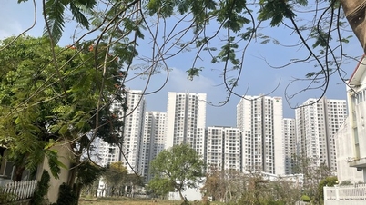 Young people remain determined to buy homes despite record-high prices.