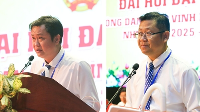 Leveraging the power of collaboration to elevate the quality of Vinh Long's agricultural products.