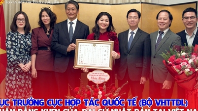 文化スポーツ観光省国際協力局長が駐ベトナム日本大使より表彰状を受け取る。